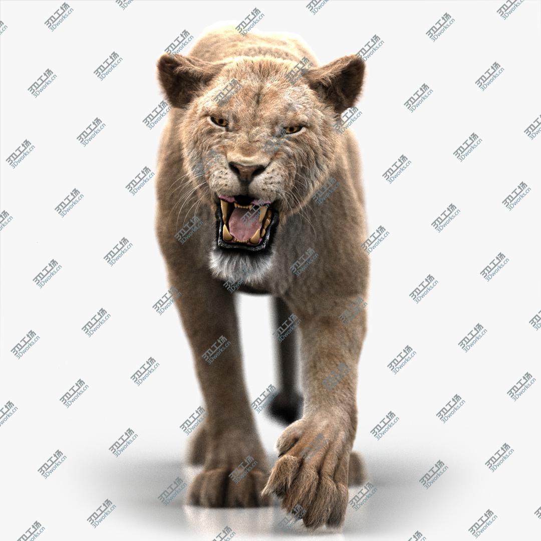 images/goods_img/202104021/3D model Lioness (3) (FUR) (RIGGED)/1.jpg